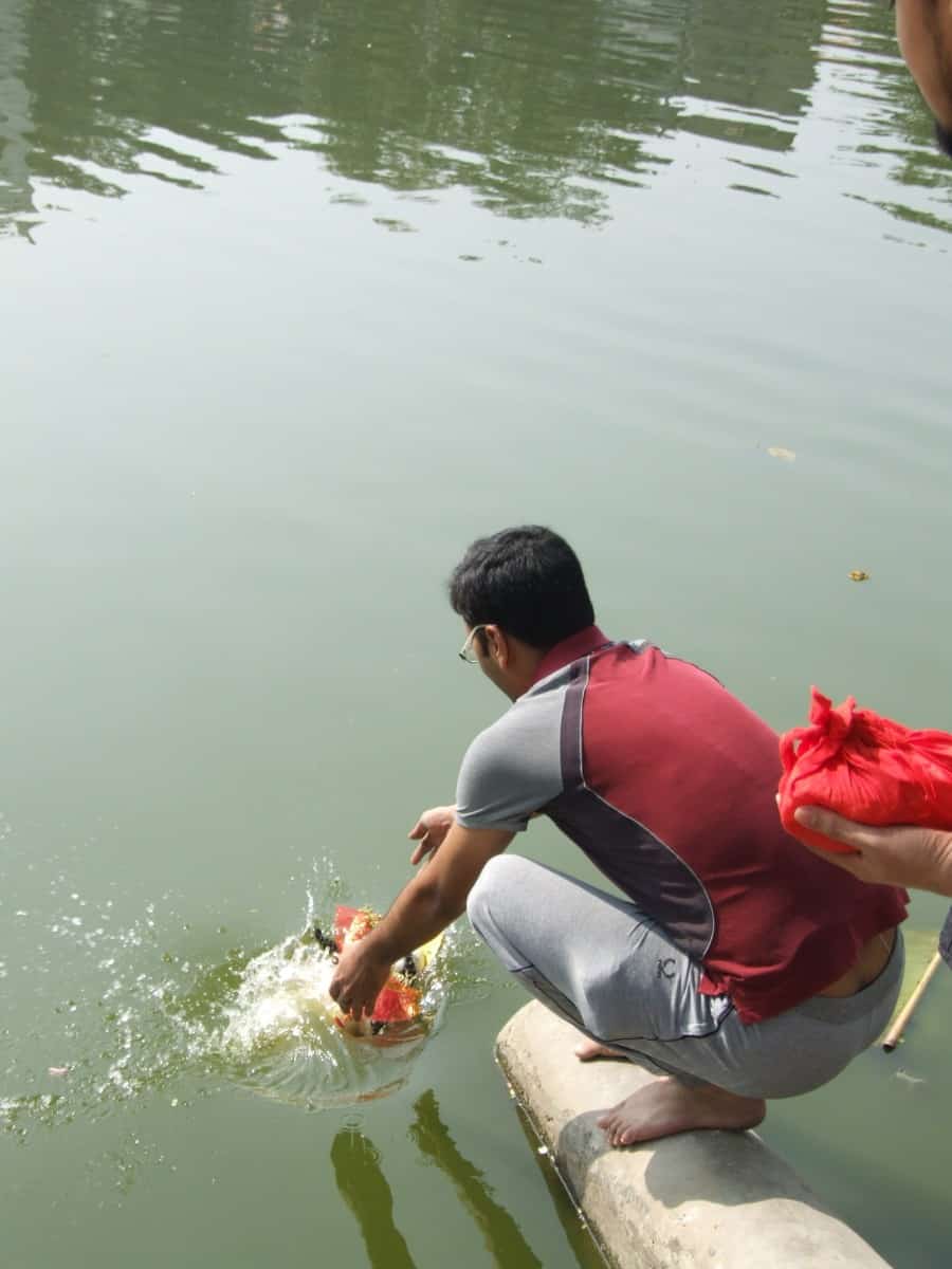 Saraswati Visarjan